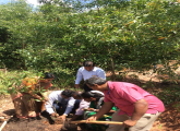 Commemoration of the Puttalam district Environment Day celebration